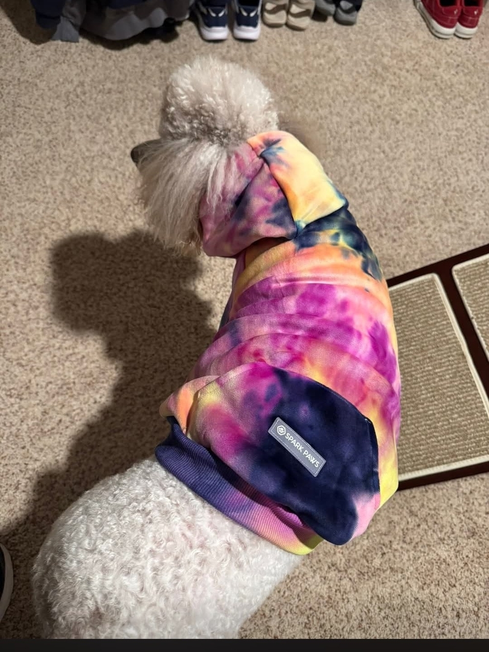 Spark Paws Tie-Dye Dog Hoodie in Multicolor
